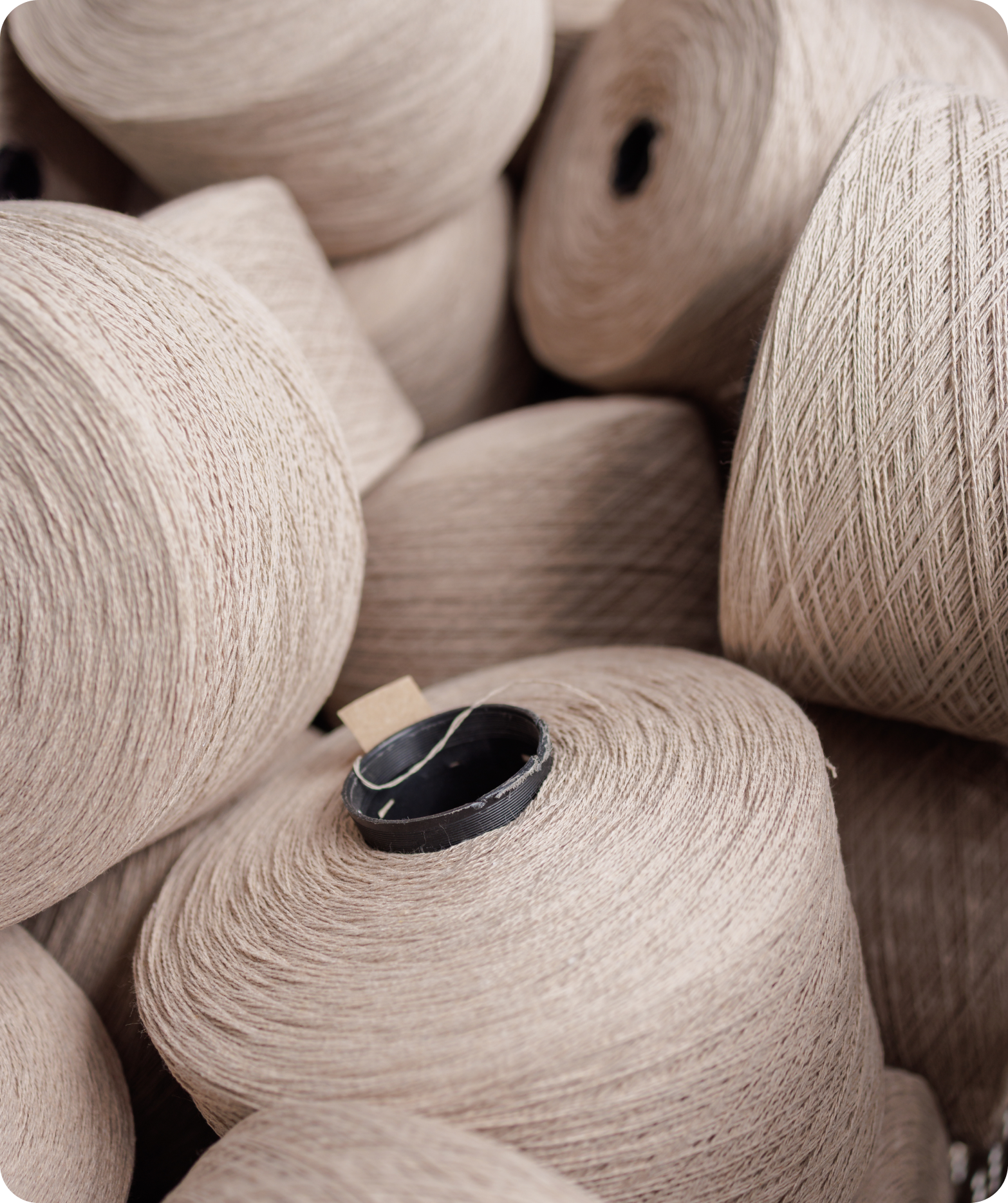 Fabric innovation developed for commercial production